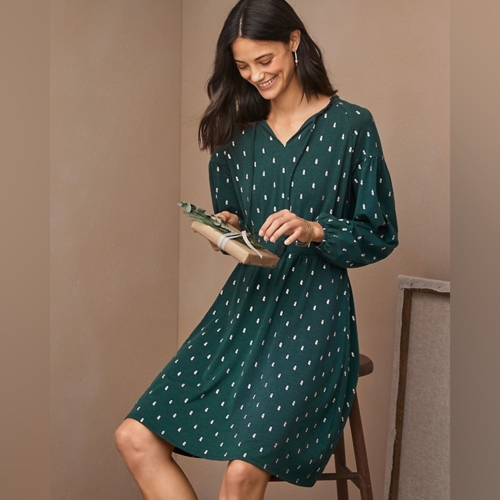 Garnet Hill Ruffled Split Neck Dress Size Small Long Sleeve Green Silver Cotton